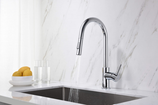 Смеситель для кухни Aquatek Европа с вытяжным изливом 2 jet, хром AQ1384CR Смеситель для кухни Aquatek Европа с вытяжным изливом 2 jet, хром AQ1384CR