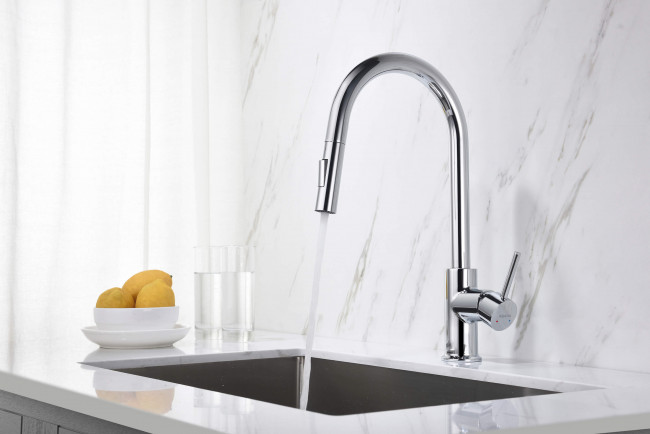Смеситель для кухни Aquatek Европа с вытяжным изливом 2 jet, хром AQ1384CR Смеситель для кухни Aquatek Европа с вытяжным изливом 2 jet, хром AQ1384CR