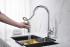 Смеситель для кухни Aquatek Европа с вытяжным изливом 2 jet, хром AQ1384CR