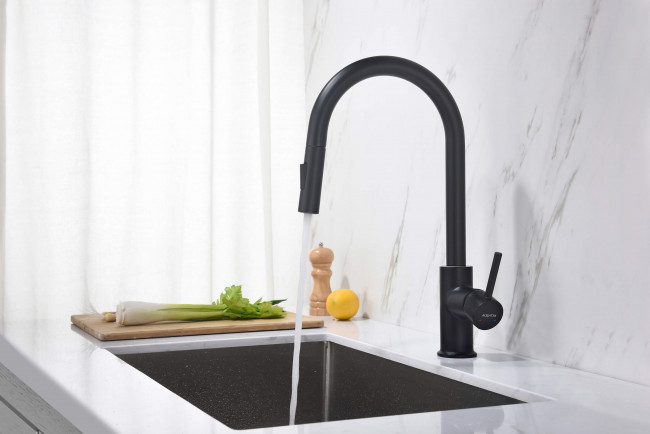 Смеситель для кухни Aquatek Европа с вытяжным изливом 2 jet, матовый черный AQ1384MB Смеситель для кухни Aquatek Европа с вытяжным изливом 2 jet, матовый черный AQ1384MB