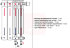 Биметаллический радиатор Rifar Base Ventil L 200, 10 секций