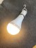 Лампочка Excelight G70-8W, теплый белый свет, E27, 8 Вт, светодиодная 