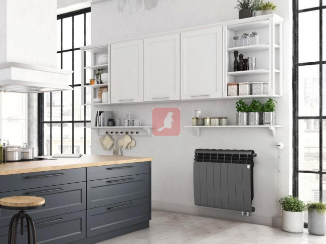 Биметаллический радиатор Royal Thermo BiLiner 500 VDR Noir Sable, 4 секции Биметаллический радиатор Royal Thermo BiLiner 500 VDR Noir Sable, 4 секции