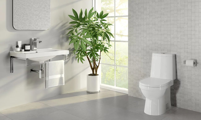 Унитаз-компакт Sanita luxe NEXT LUXE SL DM Унитаз-компакт Sanita luxe NEXT LUXE SL DM