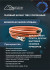 Подводка для газа гибкая Monoflex NS ПВХ 1/2" 4000 мм ВР-НР