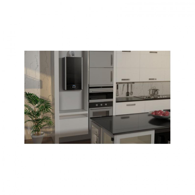 Настенный двухконтурный газовый котел ARISTON ALTEAS XC 30 FF NG Настенный двухконтурный газовый котел ARISTON ALTEAS XC 30 FF NG