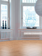 Радиатор трубчатый стальной Zehnder Charleston Retrofit 3050, 26 сек.1/2 ниж.подк. RAL9016 (кроншт.в компл.) Радиатор трубчатый стальной Zehnder Charleston Retrofit 3050, 26 сек.1/2 ниж.подк. RAL9016 (кроншт.в компл.)